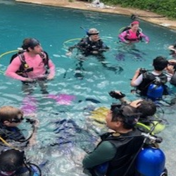 Discover program in the pool