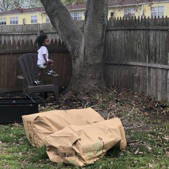 A Cut Above Tree Service - Trunk from tree that was removed - Tree Services Near Me