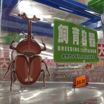 Daiso - "Breeding container" (with a picture of a bug) - Discount Store Near Me - Gardena, California