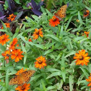 Brookgreen Gardens - Museums Near Me - Murrells Inlet, South Carolina