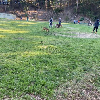 Upper Douglass Dog Park - Dog Parks Near Me - San Francisco, California Upper Douglass Dog Park - Dog Parks Near Me - San Francisco, California