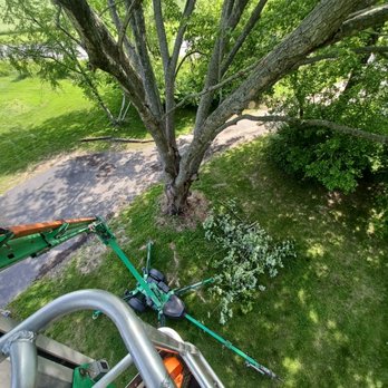 Perky Perk's - Tree Services Near Me