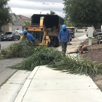 Ortega's Jr Tree Service - Tree Services Near Me - Riverside , California