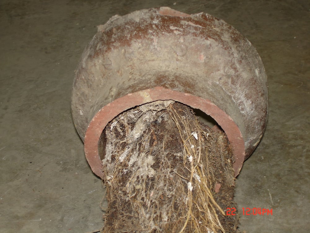 Slide of Expert Plumbing Service