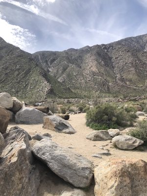Borrego Palm Canyon Nature Trail by null