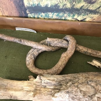 1881 Courthouse Museum - Limb in a knot - Museums Near Me - Custer, South Dakota
