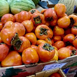 Sam's Daily Fresh Produce - persimmon-o-rama