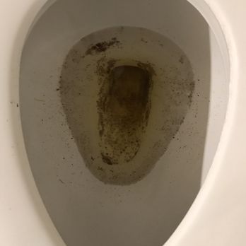 Merrill Gardens at Auburn - This is the way their toilet was taken care of! - Assisted Living Facilities Near Me - Auburn, Washington Merrill Gardens at Auburn - This is the way their toilet was taken care of! - Assisted Living Facilities Near Me - Auburn, Washington