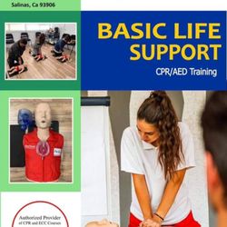 KMS Life Saver - Flyer