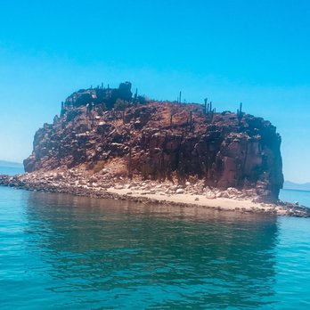Cabo Adventures - Boat Tours Near Me - Cabo San Lucas, BCS Cabo Adventures - Boat Tours Near Me - Cabo San Lucas, BCS