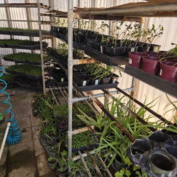 Herbs By Diane - So many herbs! - Farms Near Me - Boulder City, Nevada Herbs By Diane - So many herbs! - Farms Near Me - Boulder City, Nevada