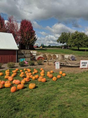 Oregon Heritage Farms by null