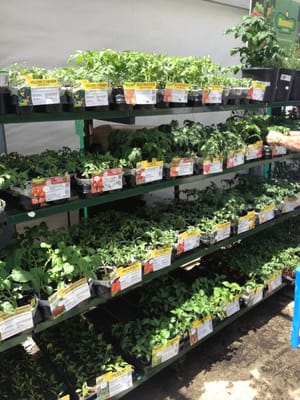 Walmart Supercenter by null