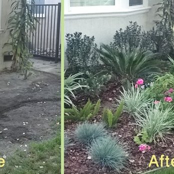 The Lawn Lord - Refreshing new look landscaping - Lawn Services Near Me The Lawn Lord - Refreshing new look landscaping - Lawn Services Near Me