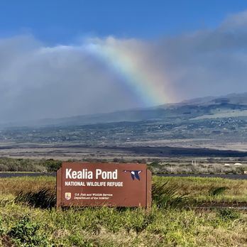 Keālia Coastal Boardwalk - Hiking Near Me Keālia Coastal Boardwalk - Hiking Near Me