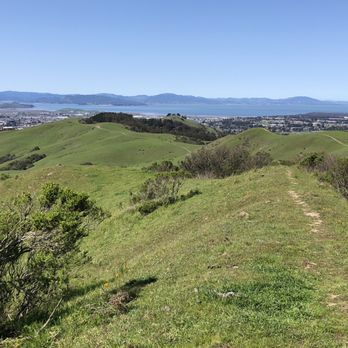 Wildcat Canyon Regional Park - Parks Near Me - Richmond, California Wildcat Canyon Regional Park - Parks Near Me - Richmond, California