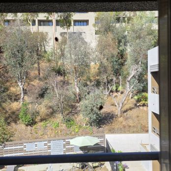 Fairfield by Marriott Inn & Suites Los Angeles Rosemead - Giant bugs on my screen door. I don't think they're roaches. Probably June beetles? - Hotels Near Me - Rosemead, California
