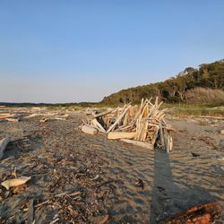 Joseph Whidbey State Park