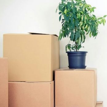 All Mighty Movers - All Mighty Movers - Movers Near Me All Mighty Movers - All Mighty Movers - Movers Near Me