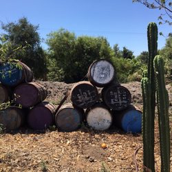 Garden of Eden Organics - Beautiful place very rustic look! Queen Esebella will greet you!
