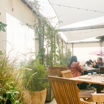 Fig Tree - Outdoor seating - Cafes Near Me - Los Angeles, California
