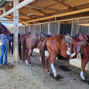 Vino Vaqueros Horseback Riding - Horseback Riding Near Me - Los Olivos, California Vino Vaqueros Horseback Riding - Horseback Riding Near Me - Los Olivos, California
