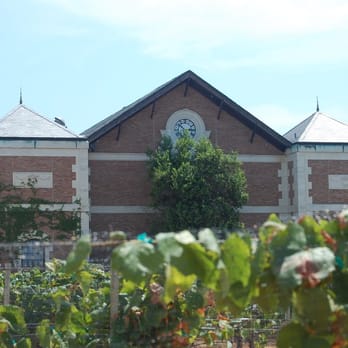 Delaney Vineyards - Wineries Near Me - Grapevine, Texas Delaney Vineyards - Wineries Near Me - Grapevine, Texas