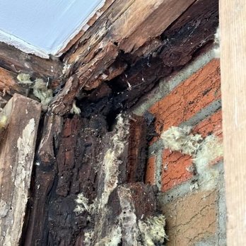 Phase 4 Contracting - Rotted and wet corner under roof - General Contractors Near Me - New Britain, Pennsylvania Phase 4 Contracting - Rotted and wet corner under roof - General Contractors Near Me - New Britain, Pennsylvania