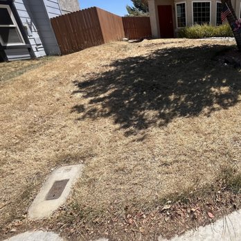Bell Remodeling And Construction - My yard before the work was done. - Roofing Near Me - Palmdale, California Bell Remodeling And Construction - My yard before the work was done. - Roofing Near Me - Palmdale, California