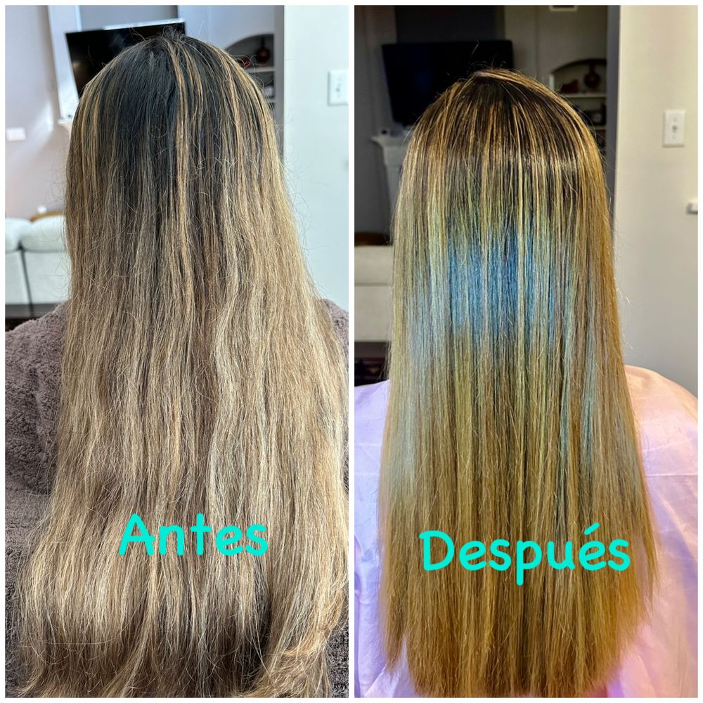 Organic Hair by Ale Logo