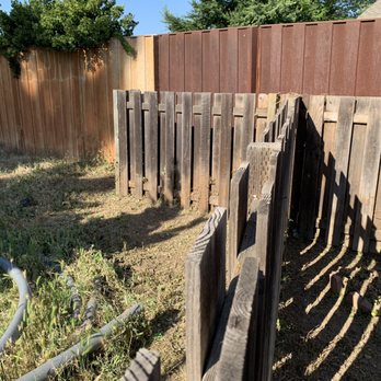 The Weed Solution - After: no more ivy! - Landscaping Near Me
