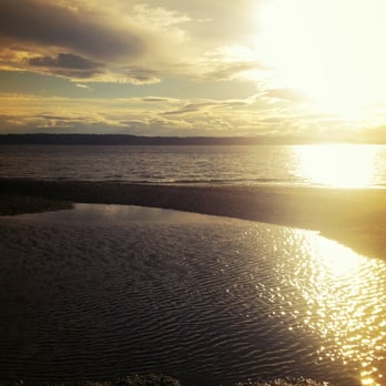 Ed Munro Seahurst Park - ponds and sunlight. - Parks Near Me - Burien, Washington