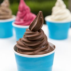 La Creme Frozen Yogurt - Chocolate Fudge Sorbet