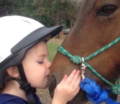 Animal Rescue Teaching for Any Level of Learner - equestrian in Eugene, OR