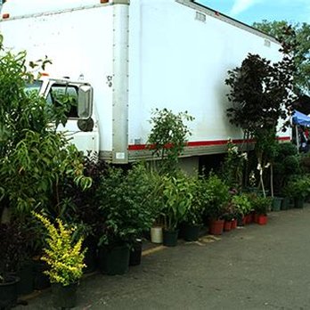 Dog Days Flea Market - fruit trees - Flea Markets Near Me - Ardmore, Tennessee