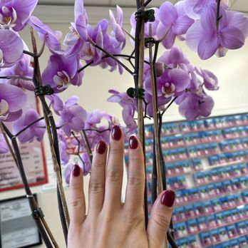 Omni Nail Spa - Nail Salons Near Me - San Jose, California Omni Nail Spa - Nail Salons Near Me - San Jose, California