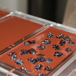 Belyzium 31° - Belyzium Chocolate with dried cherries.