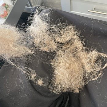 L salon - She acted like everything was fine then just walked away and didn't say a word to me! No apology, nothing! - Hair Salons Near Me - Las Vegas, Nevada