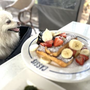 CASSIS ST. PETE - Updated August 2025 - 1312 Photos & 1218 Reviews