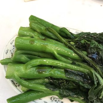 Ocean Harbor - Chinese broccoli - Dim Sum Near Me - Philadelphia, Pennsylvania Ocean Harbor - Chinese broccoli - Dim Sum Near Me - Philadelphia, Pennsylvania