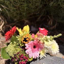Santa Clara Mission Cemetery