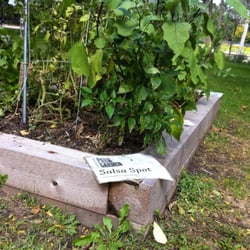 Community Garden