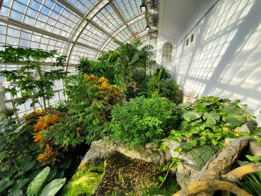 Schmetterlinghaus by null