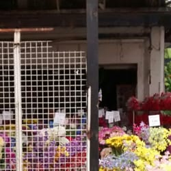 Floricultura Pernambucana