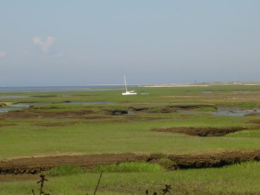 Mass Audubon Wellfleet Bay Wildlife Sanctuary by null