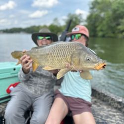 Headwaters Outfitters - 14.5 # Carp on a dry cicada fly. Way to go Hannah!