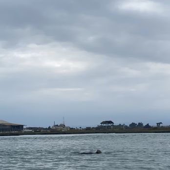 Monterey Bay Kayaks - Tours Near Me - Moss Landing, California Monterey Bay Kayaks - Tours Near Me - Moss Landing, California