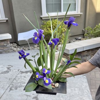 Zenn Florists - Iris Ikebana (outdoor) - absolutely loved them! - Florists Near Me - Almaden, California Zenn Florists - Iris Ikebana (outdoor) - absolutely loved them! - Florists Near Me - Almaden, California