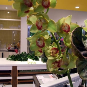 Quince Flowers - ooooooh, orchids. - Florists Near Me - Toronto, Ontario Quince Flowers - ooooooh, orchids. - Florists Near Me - Toronto, Ontario