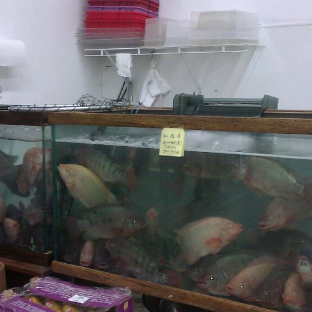 Asian Mart - Lots of fish - Grocery Near Me - Mundelein, Illinois